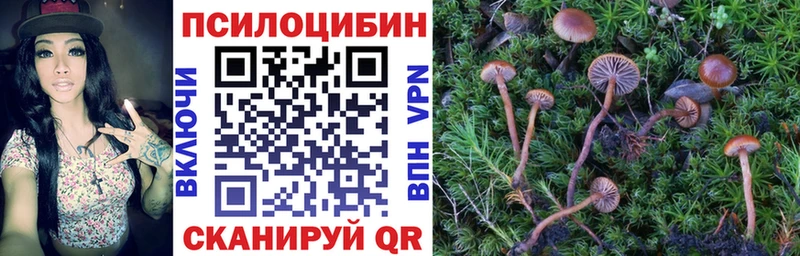 KRAKEN как зайти  купить наркотики цена  Оха  Галлюциногенные грибы Psilocybine cubensis 